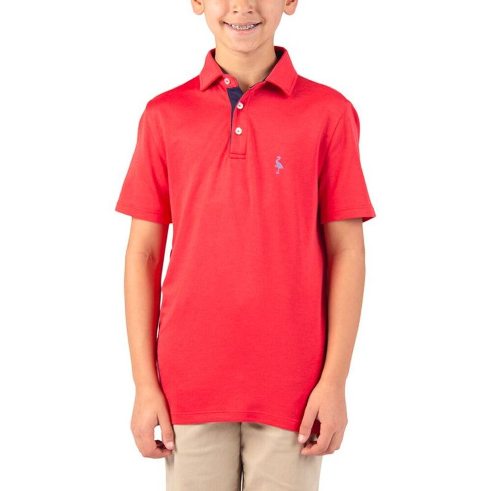 Tailorbyrd Boys  Solid Polo Shirt